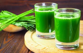 Can Wheatgrass Boost Your Chances of Fertility?