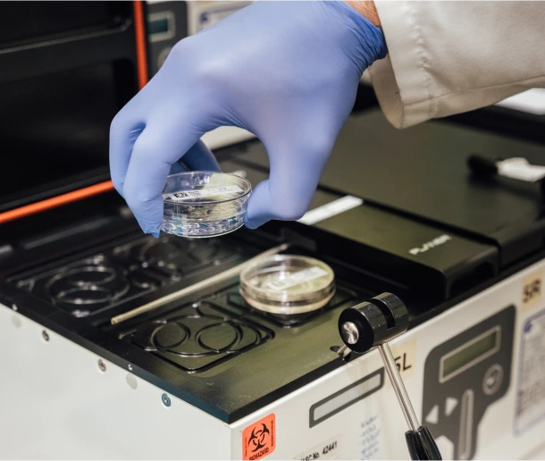 A close-up image of a person wearing a blue lab glove and a white lab coat placing a small, clear petri dish into a specialized piece of laboratory equipment. Another petri dish is visible inside the machine.