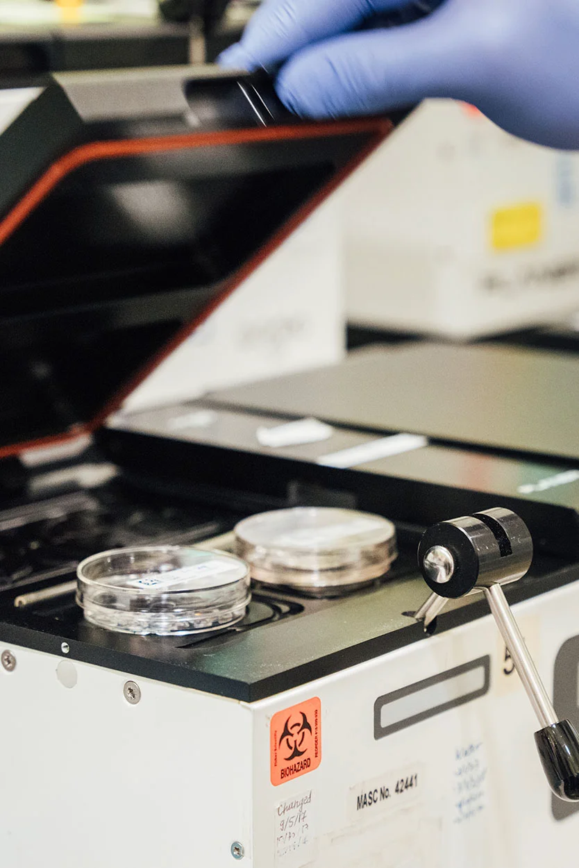 A close-up of a laboratory machine with a biohazard sticker, showing two petri dishes on the surface, while a hand in a blue glove opens the lid. - Egg Recipient Program in New York, NY